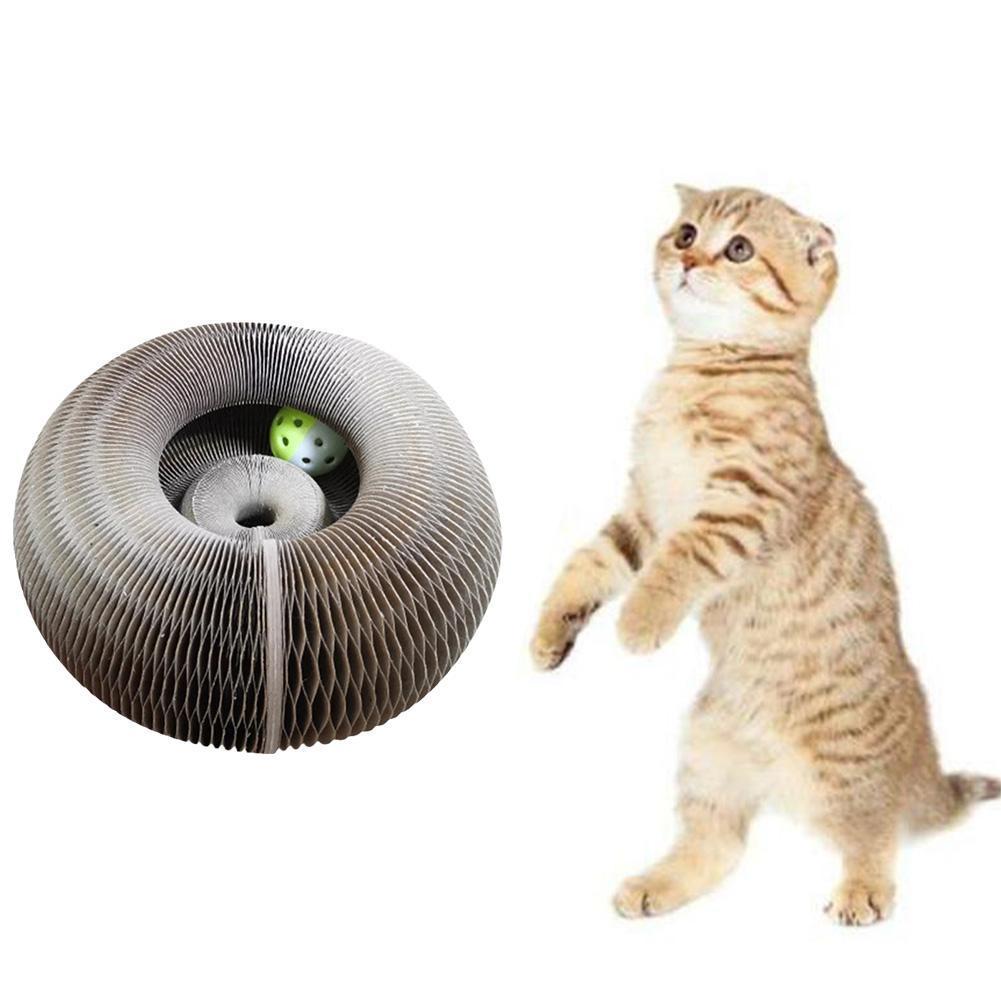 Magic Cat Scratchboard